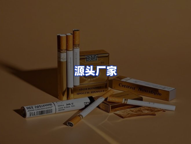 专业团队